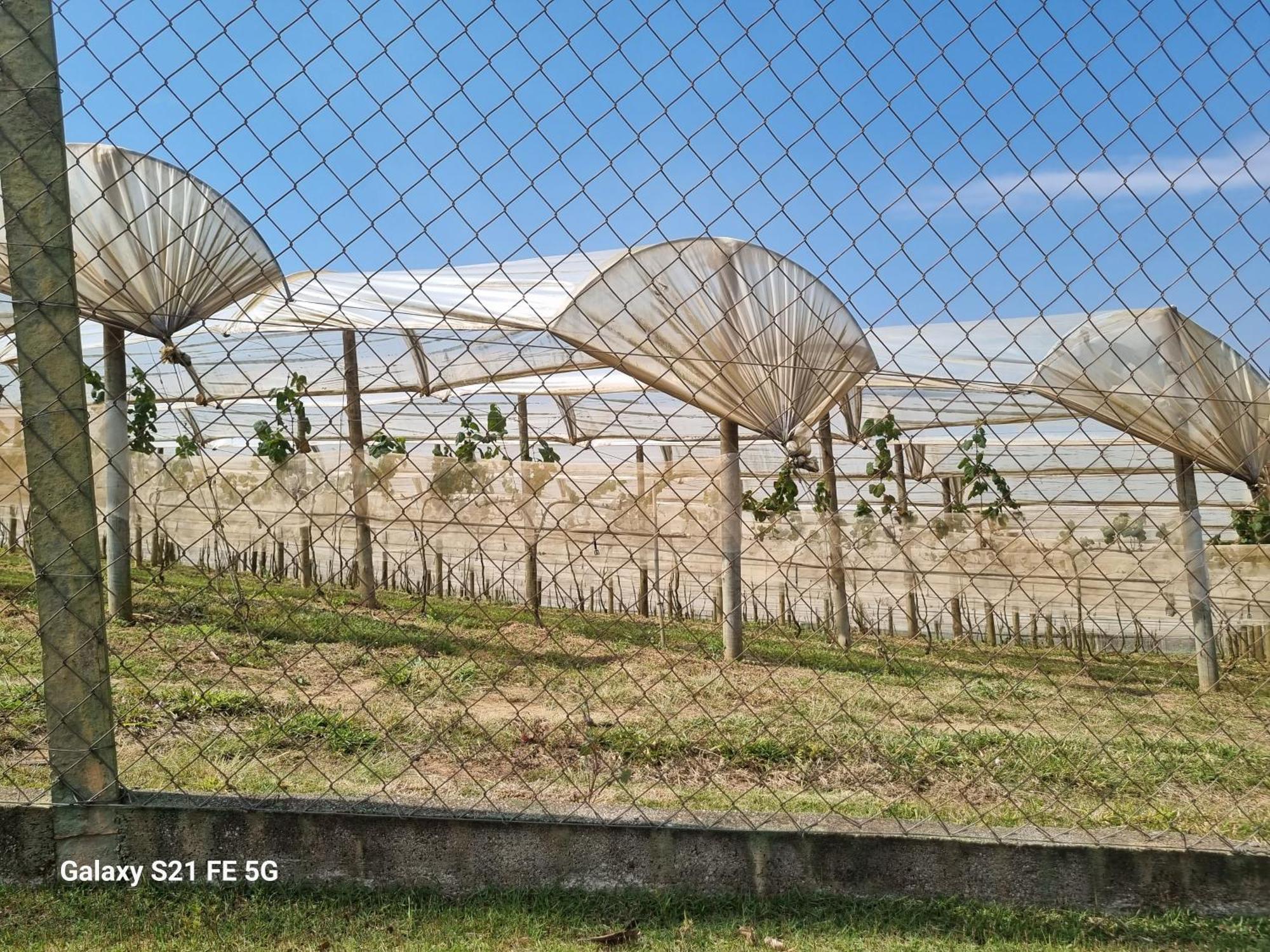 Vila Chacara Aquila São Roque Exteriér fotografie