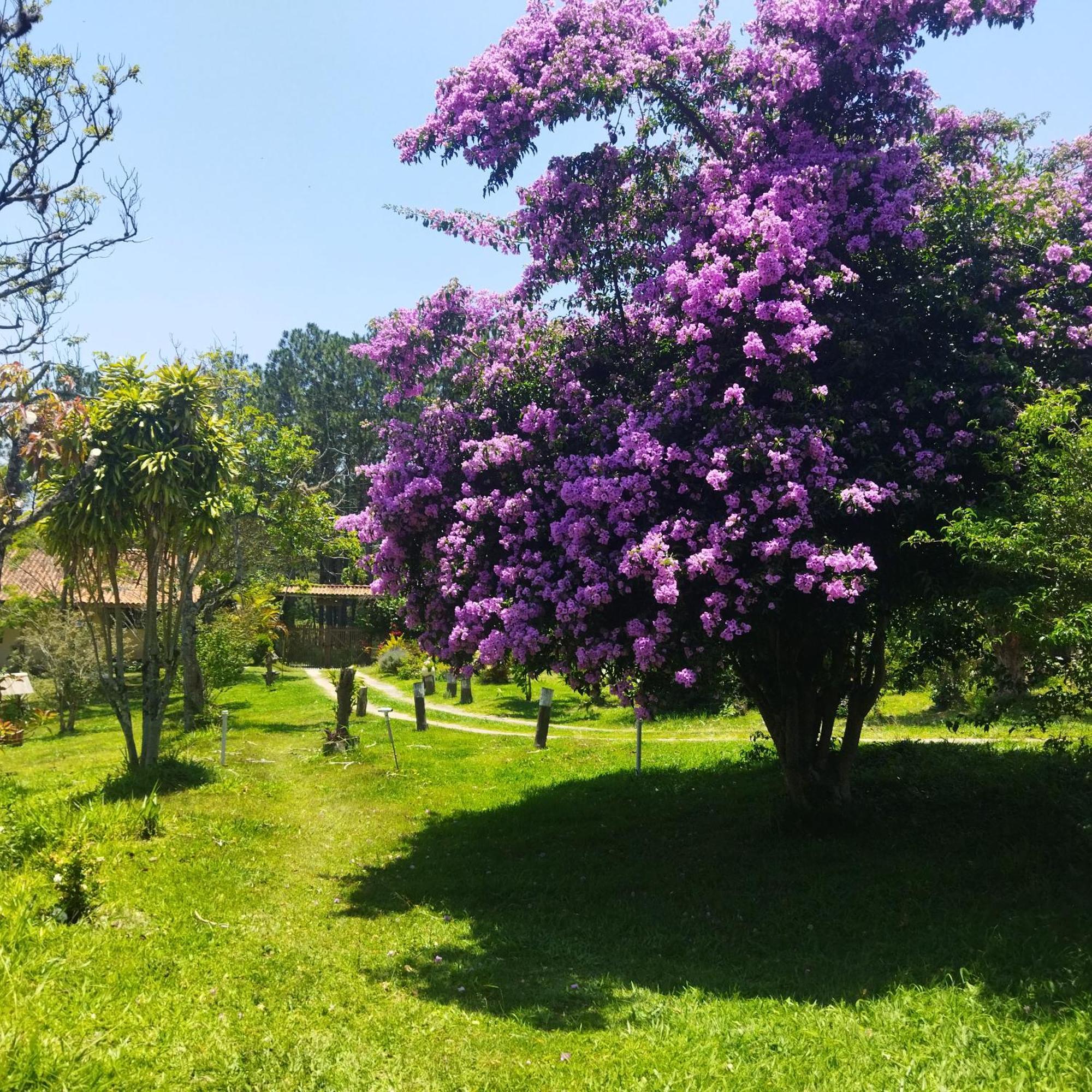 Vila Chacara Aquila São Roque Exteriér fotografie