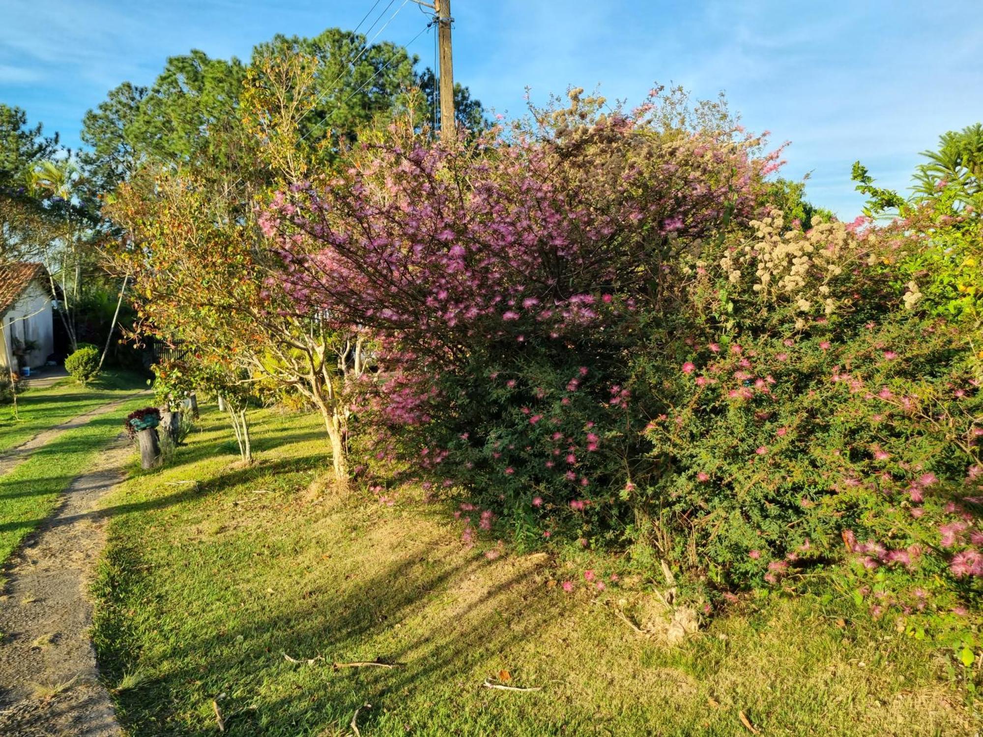 Vila Chacara Aquila São Roque Exteriér fotografie